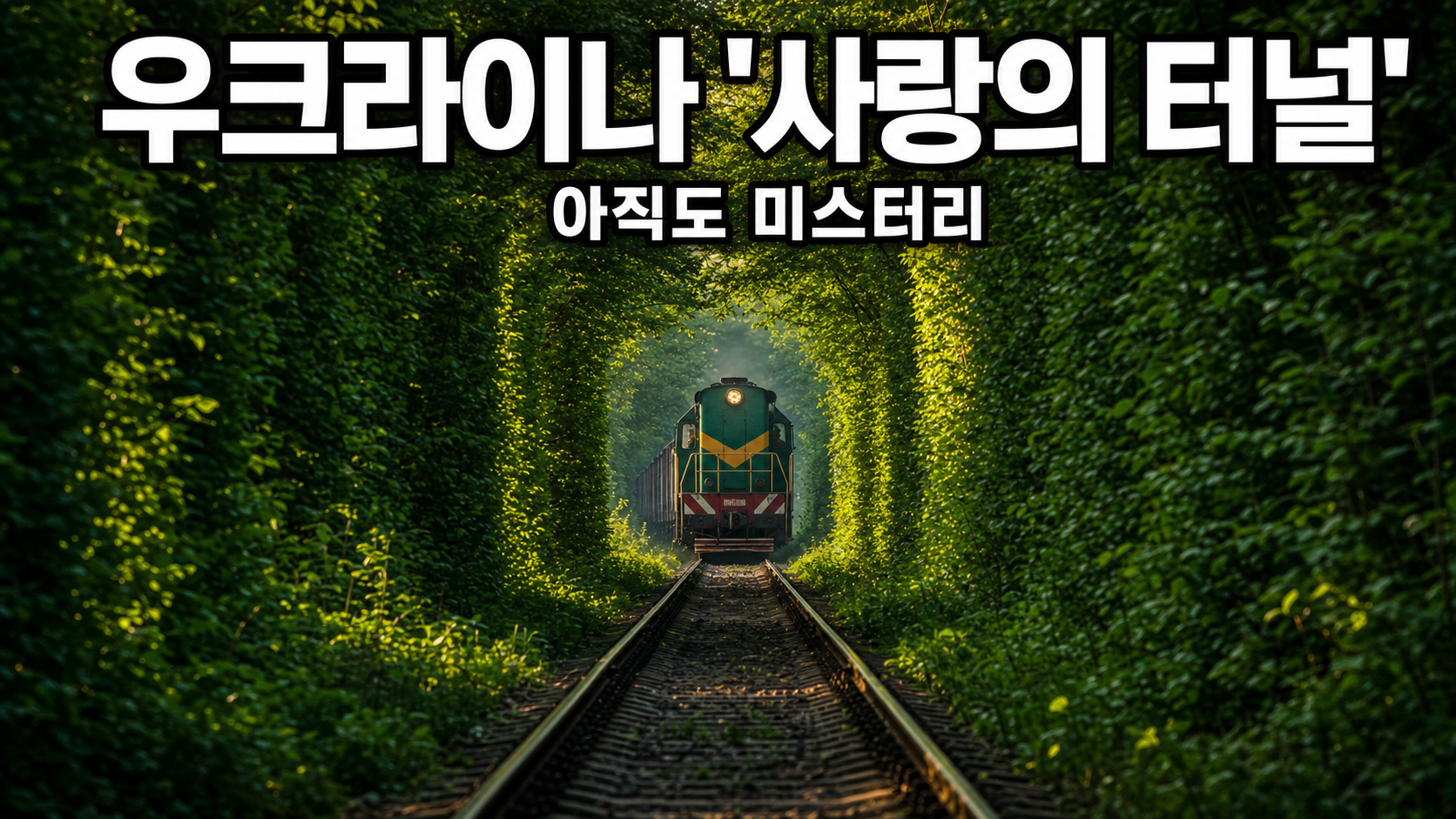 우크라이나 '사랑의 터널', 알고 보니 지금도 열차가 다니는 철길?