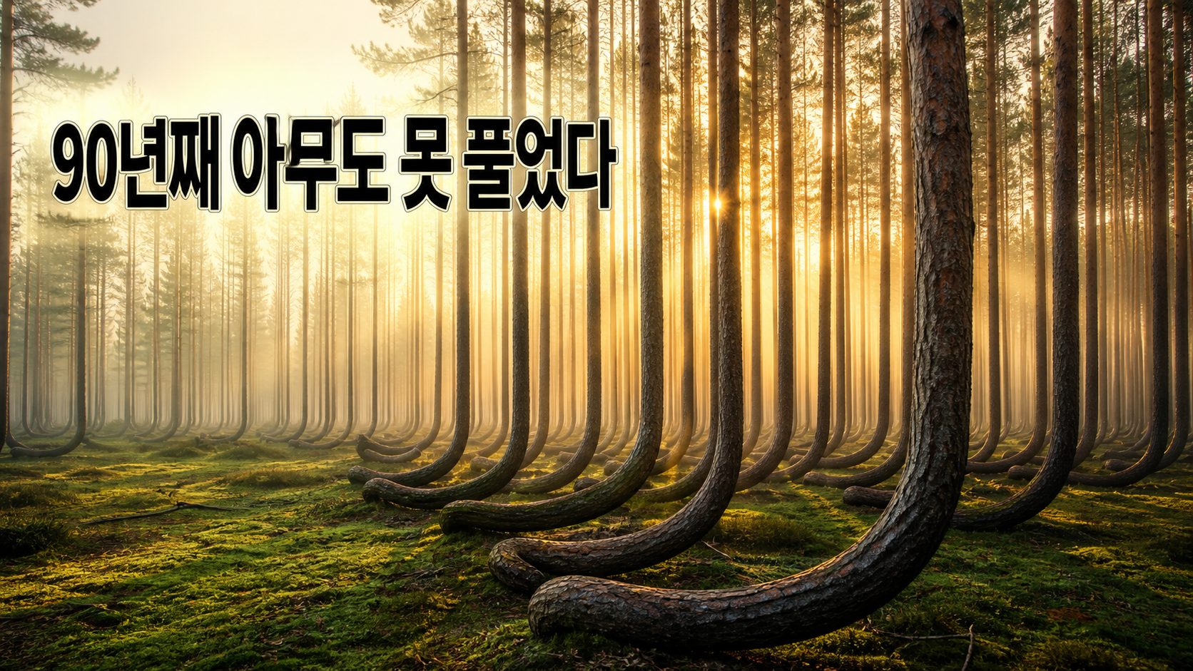 AI로 재현한 폴란드 굽은 숲의 J자로 휜 소나무들