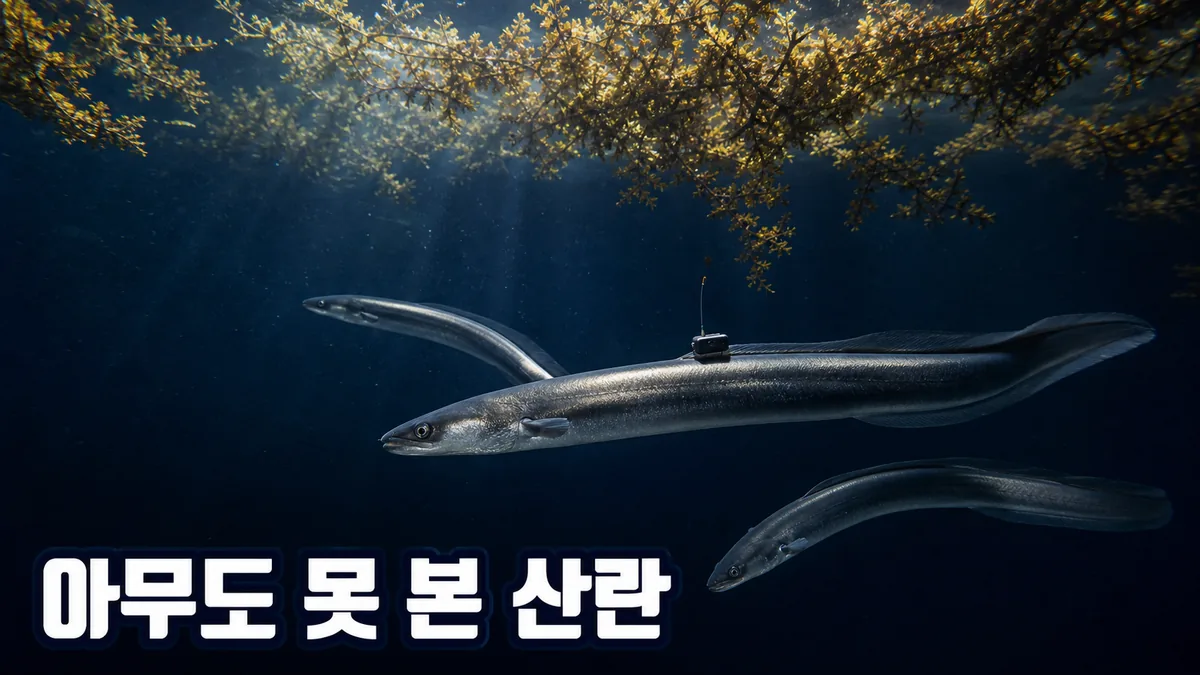 2,275km 직선거리 추적에도 못 본 유럽뱀장어 산란